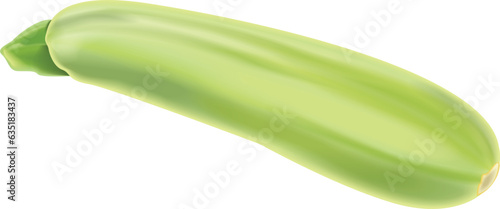 vegetable marrow