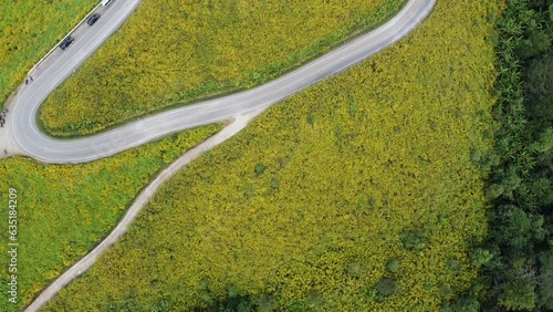 aerial view mountain road with yellow flowers