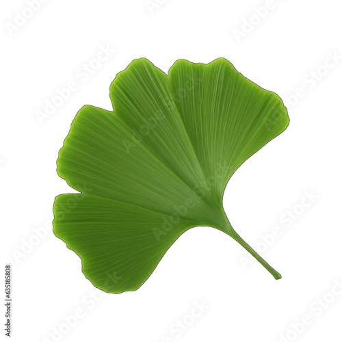 gingko leaf, transparent, generative ai