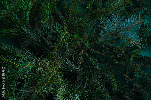Fototapeta Naklejka Na Ścianę i Meble -  Christmas tree green background.