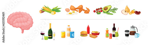 Good and Bad Food Category and Nutrition Group for Brain Function Vector Set