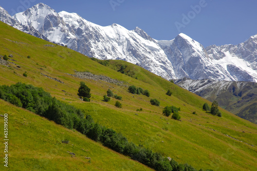 landscape of green grass and snowy mountains. Trekking and travel in Georgia