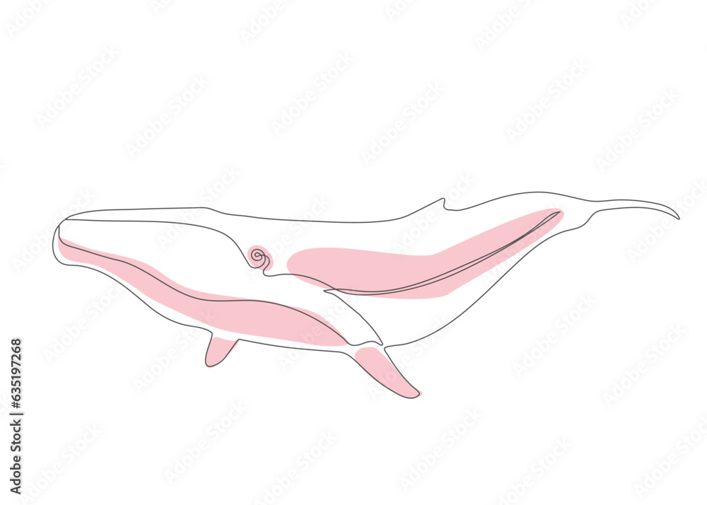 Vector line art blue whale. modern vector illustration of a whale. single-line blue whale.