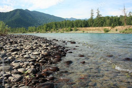 Altay. Katun river in evening.