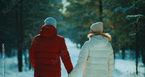 married couple walking in forest in winter day, rear view of people holding hands, 4K, Prores