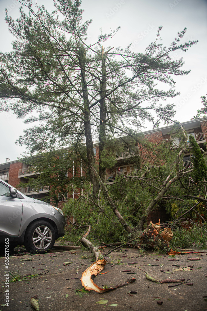 Naklejka premium aftermath a severe thunderstorm happened in Maryland on July 29 2023