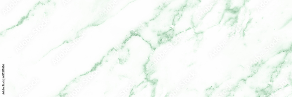 Obraz na płótnie Green white marble wall surface gray pattern graphic abstract light elegant for do floor plan ceramic counter texture tile silver background. w salonie