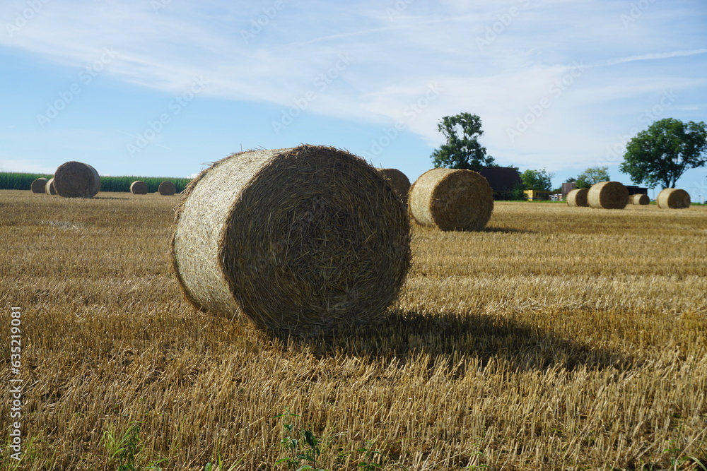 Heuballen auf geerntetem Getreidefeld vor blauem Himmel mit weißem Wolkengebilde bei Sonne am Mittag im Sommer