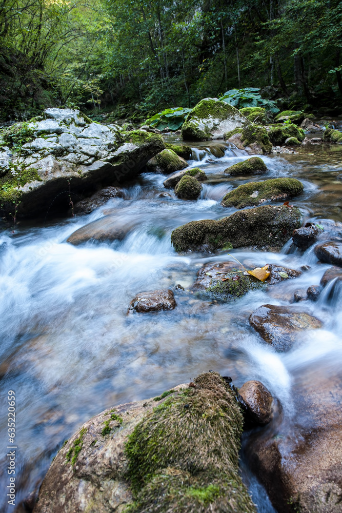 Mountain river, river in the forest. Mountain river, river in the forest.