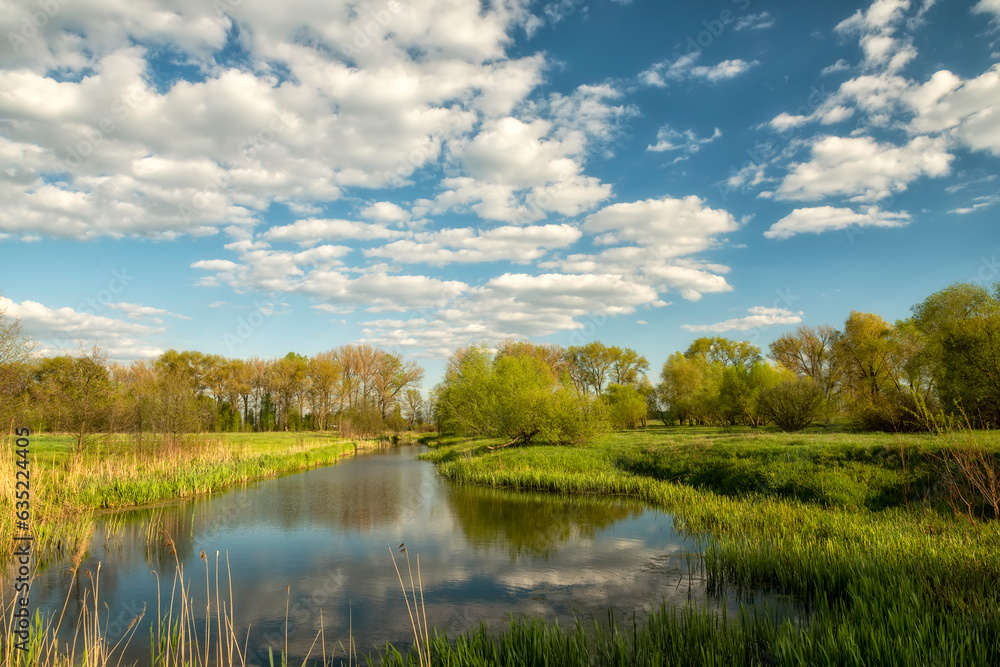 calm lake among green trees on a sunny summer day calm lake among green trees on a sunny summer day