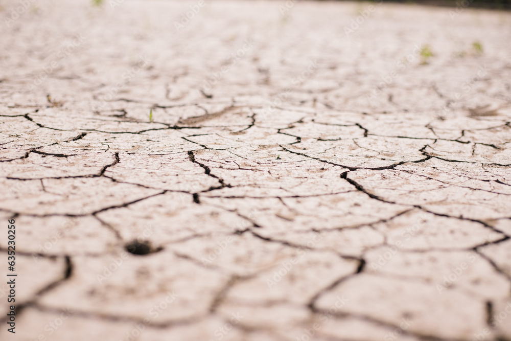 Obraz premium Dry, cracked earth. Drought. Lack of water for irrigation. Agricultural industry.The ground was cracks in the top view for the background or graphic design with the concept of drought .