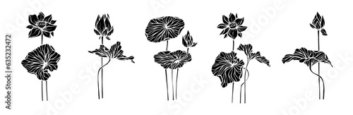 Set of silhouettes of lotus flowers. Vector graphics.