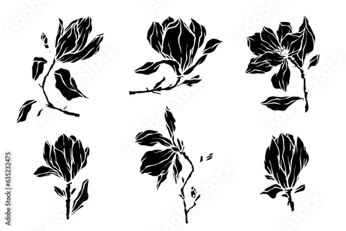 Set of silhouettes of magnolia flowers. Vector graphics.