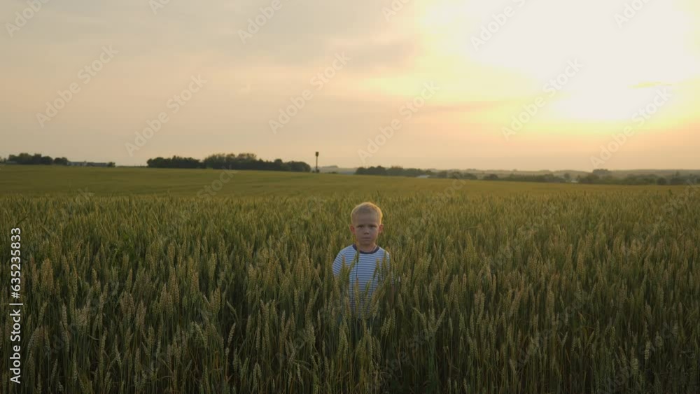 A small blond boy of 5 years old stands in the center of a wheat field during sunset in golden light. A child in a field with cereal crops at sunset. High quality 4k footage A small blond boy of 5 years old stands in the center of a wheat field during sunset in golden light. A child in a field with cereal crops at sunset. High quality 4k footage