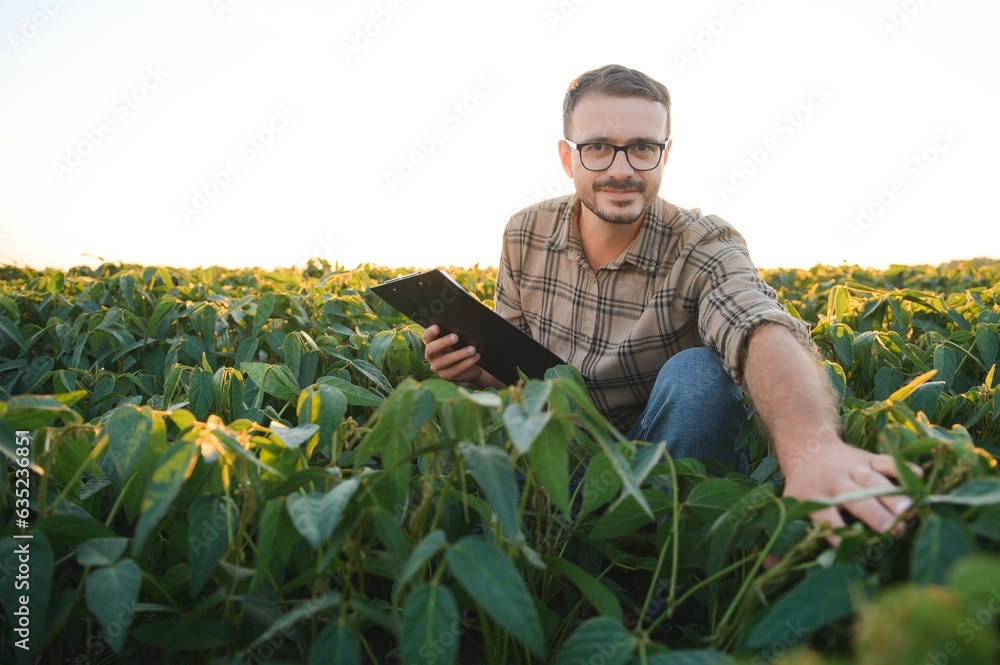 Fototapeta premium Young handsome agriculture engineer in soybean field with tablet in hands in early summer