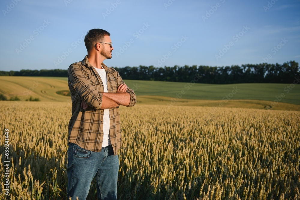 Farmer In Wheat Field At Harvest