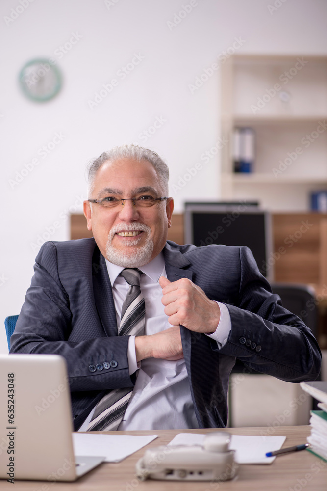 Old male boss employee working in the office Old male boss employee working in the office