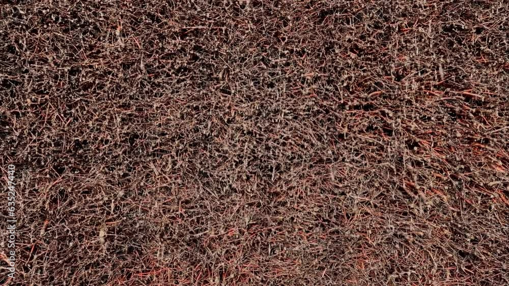time lapse. cooling tower or saline is a structure made of bundles of twigs of blackthorns, through which the water of salt springs flows time lapse. cooling tower or saline is a structure made of bundles of twigs of blackthorns, through which the water of salt springs flows