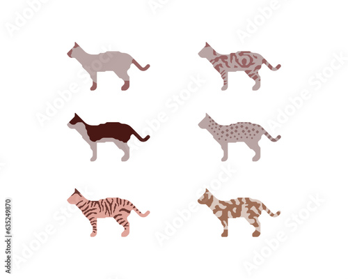 feline fur coat types traits genetics