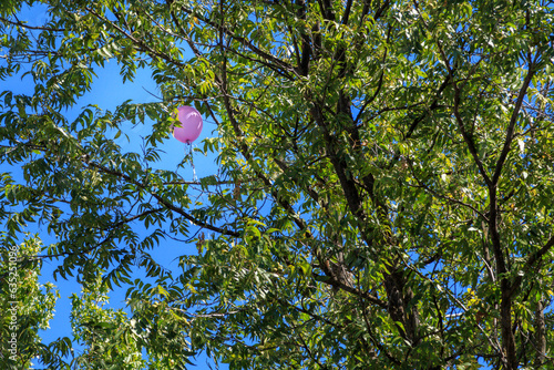 A Balloon Stuck In A Tree