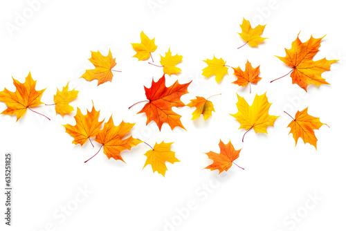 Autumn maple leaves falling down with the wind. Fall leaf on white background