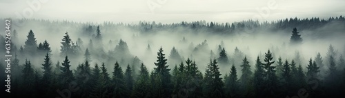 dark pine trees in mist Generative AI