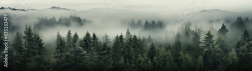 a forest with some trees covered in fog Generative AI