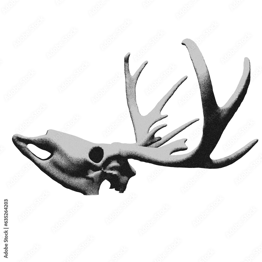 Fototapeta premium Drawing of skull and antlers of a deer