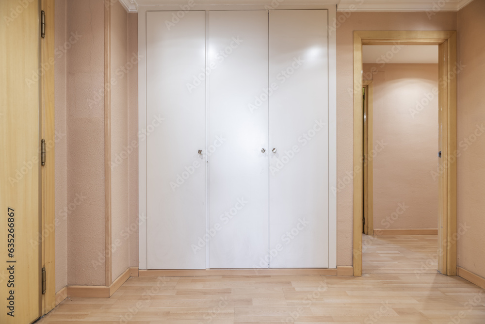 Entrance hall of a house with built-in wardrobes