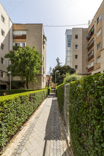 Driveway between residential buildings flanked on both sides by hedges © Toyakisfoto.photos