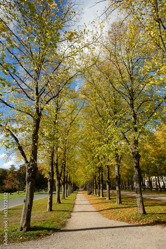 Hannover, Germany - October 16, 2022. Herrenhausen, Hannover avenue of trees in autumn season