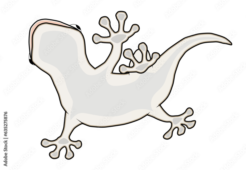 gecko lizard illustration