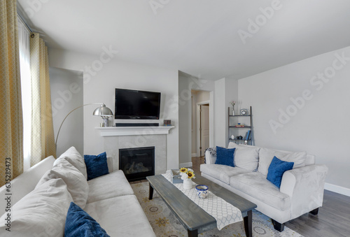 Modern residential luxury living room interior