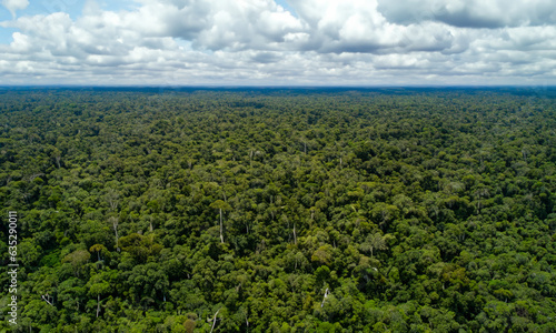 Forest seen from above. Lots of green area in a beautiful horizon.