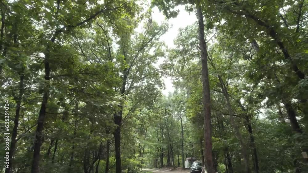 Through the leaves of the forest,
The forest campsite is always comfortable Through the leaves of the forest,
The forest campsite is always comfortable