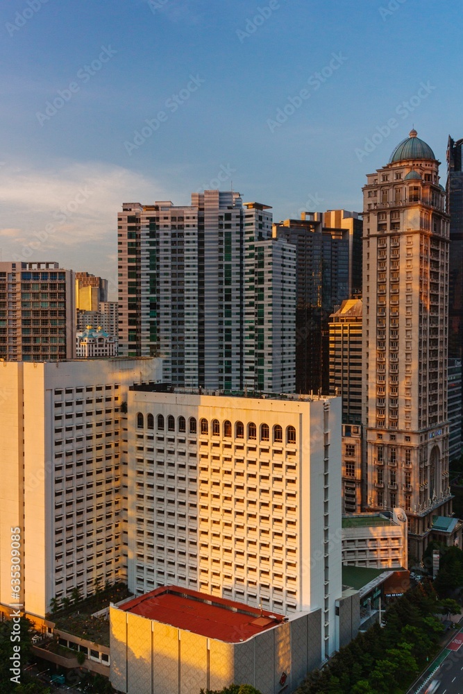 Fototapeta premium city skyline