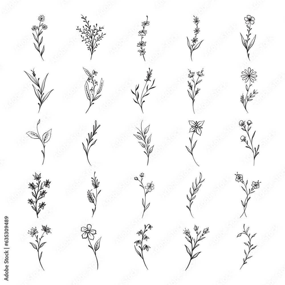 Plant and flower hand drawn vector set