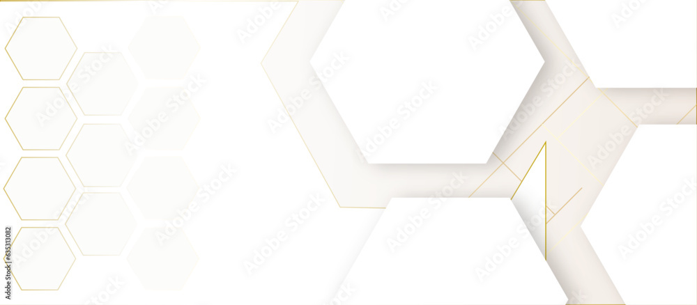 Abstract white hexagon and gold line white background. Abstract white hexagon and gold line white background.