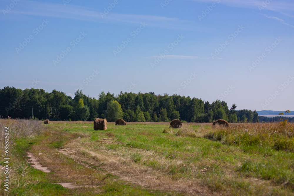 Fototapeta premium Hay bales in the suburbs of Naberezhnye Chelny, Republic of Tatarstan. August 2023.