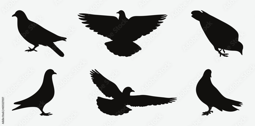 Obraz premium Graceful Silhouettes of Pigeon Birds in Various Poses, A Collection of Elegance and Freedom