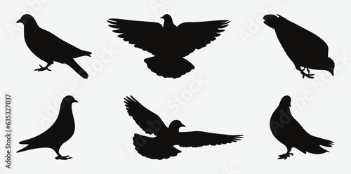 Graceful Silhouettes of Pigeon Birds in Various Poses, A Collection of Elegance and Freedom