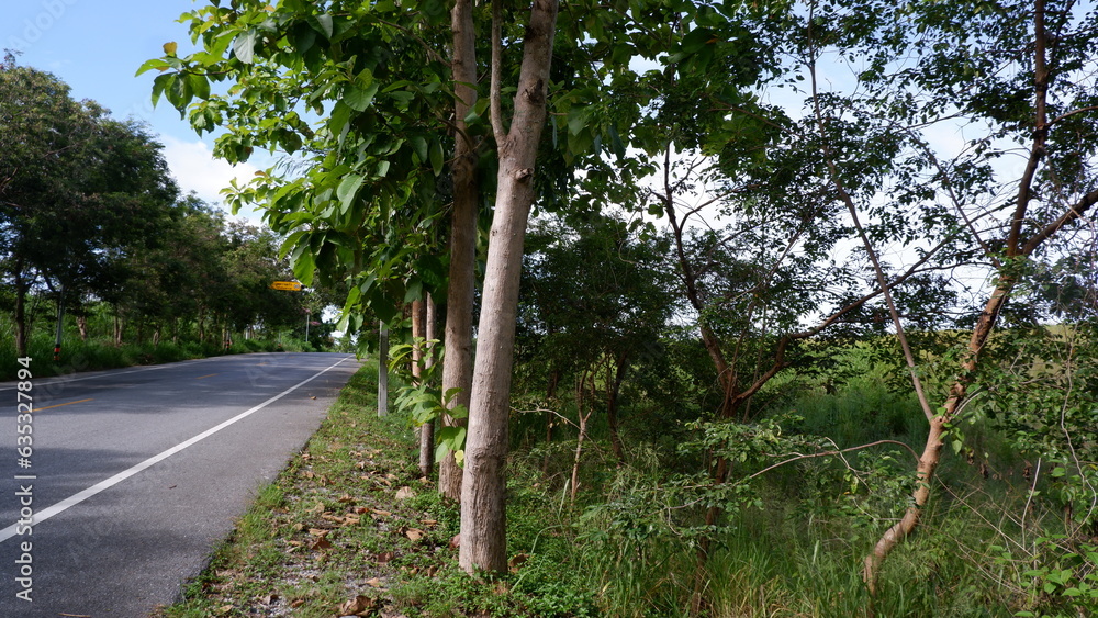 Fototapeta premium Banchang district