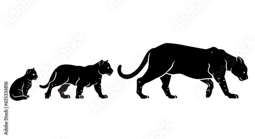 Black Panther Growth Stages Silhouette