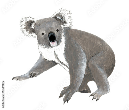 Canvas Print Koala walking/standing on a large branch of a gum tree