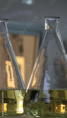 Erlenmeyers flask with microorganism culture media in a laboratory photo