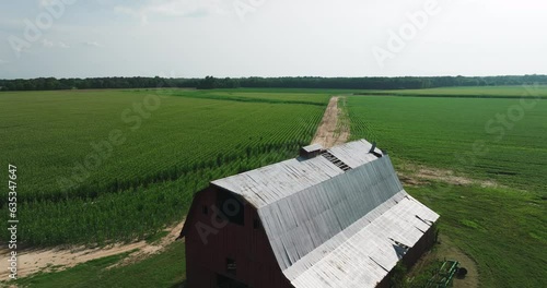 Old Barn House With Evergreen Plantation At Background Near Biscoe In Prairie County, Arkansas, United States. Aerial Shot photo