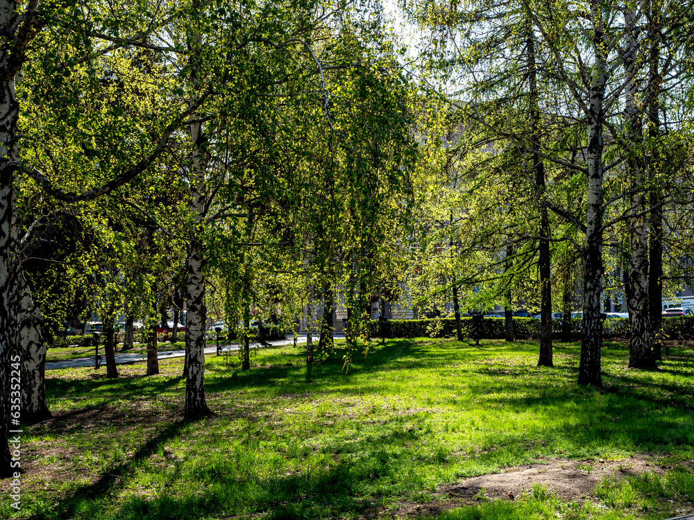 bright fresh green lawn in the city park in spring