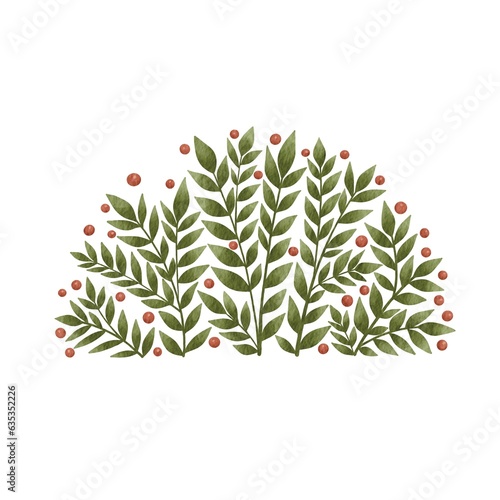 Green weed plant with berry in semicircle shape banner watercolor illustration for decoration on Spring season and Christmas holiday event.