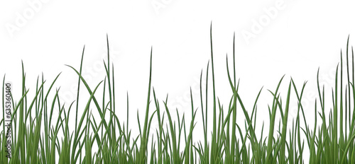 green grass isolated on white background, png high quality, transparent background