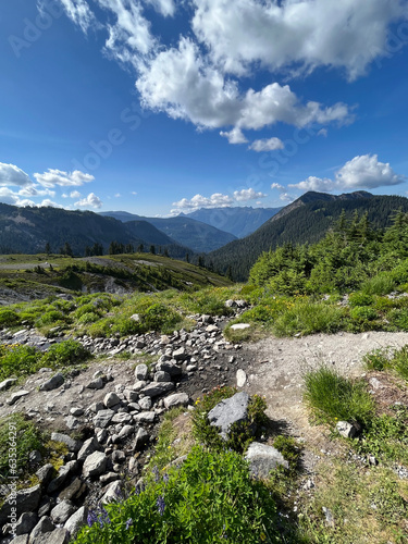 landscape with river and mountains